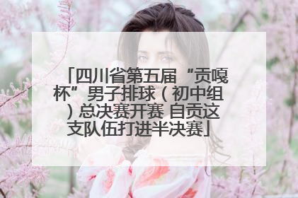 四川省第五届“贡嘎杯”男子排球（初中组）总决赛开赛 自贡这支队伍打进半决赛