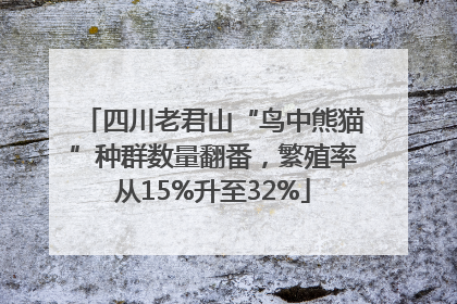 四川老君山“鸟中熊猫”种群数量翻番，繁殖率从15%升至32%
