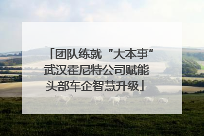团队练就“大本事” 武汉霍尼特公司赋能头部车企智慧升级