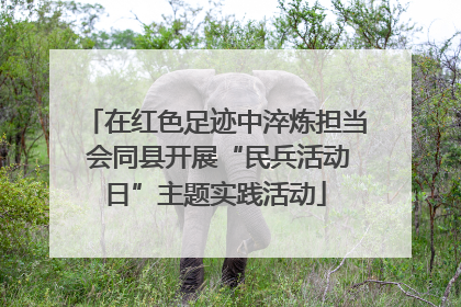 在红色足迹中淬炼担当 会同县开展“民兵活动日”主题实践活动