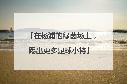 在杨浦的绿茵场上，踢出更多足球小将