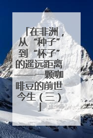 在非洲，从“种子”到“杯子”的遥远距离——一颗咖啡豆的前世今生（三）