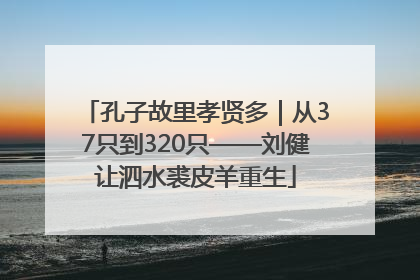 孔子故里孝贤多｜从37只到320只——刘健让泗水裘皮羊重生