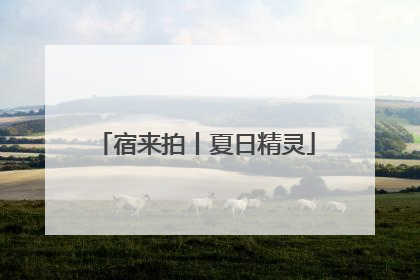 宿来拍丨夏日精灵