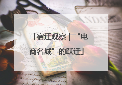 宿迁观察｜“电商名城”的跃迁