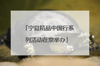 宁夏精品中国行系列活动在京举办
