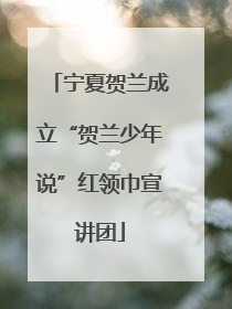 宁夏贺兰成立“贺兰少年说”红领巾宣讲团