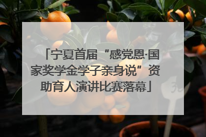 宁夏首届“感党恩·国家奖学金学子亲身说”资助育人演讲比赛落幕