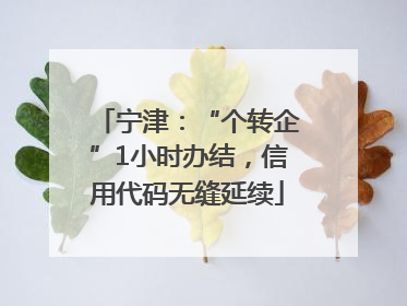 宁津：“个转企”1小时办结，信用代码无缝延续