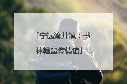 宁远湾井镇：书林翰墨传情谊