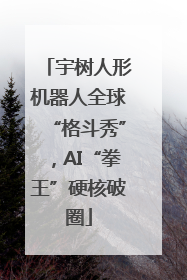宇树人形机器人全球“格斗秀”，AI“拳王”硬核破圈