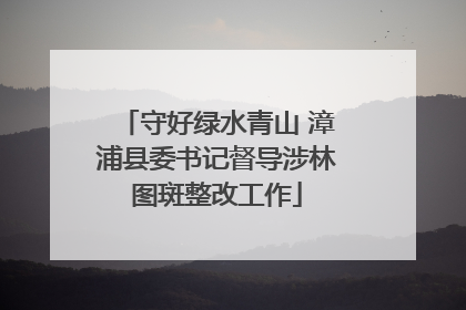守好绿水青山 漳浦县委书记督导涉林图斑整改工作