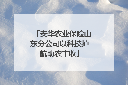 安华农业保险山东分公司以科技护航助农丰收