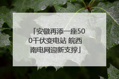 安徽再添一座500千伏变电站 皖西南电网迎新支撑
