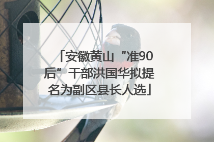 安徽黄山“准90后”干部洪国华拟提名为副区县长人选