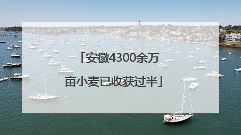 安徽4300余万亩小麦已收获过半