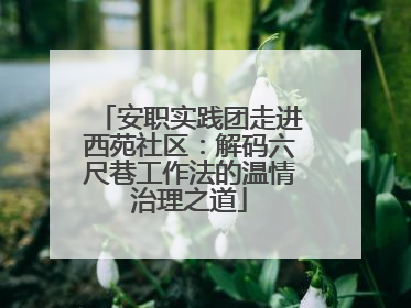 安职实践团走进西苑社区：解码六尺巷工作法的温情治理之道