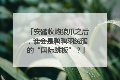 安踏收购狼爪之后，谁会是鸭鸭羽绒服的“国际跳板”？