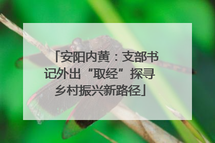 安阳内黄：支部书记外出“取经”探寻乡村振兴新路径