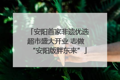 安阳首家非遗优选超市盛大开业 志做“安阳版胖东来”