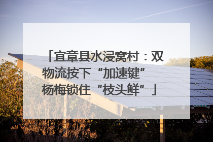 宜章县水浸窝村：双物流按下“加速键” 杨梅锁住“枝头鲜”