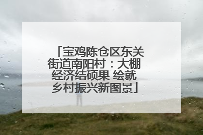 宝鸡陈仓区东关街道南阳村：大棚经济结硕果 绘就乡村振兴新图景