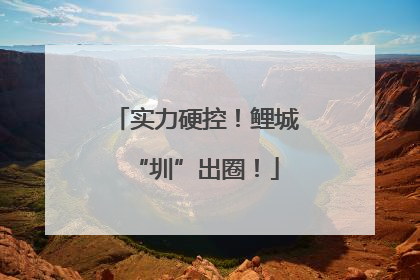 实力硬控！鲤城“圳”出圈！