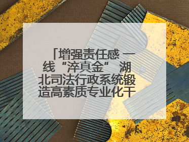 增强责任感 一线“淬真金” 湖北司法行政系统锻造高素质专业化干警队伍