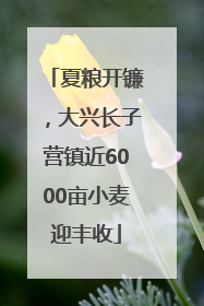 夏粮开镰，大兴长子营镇近6000亩小麦迎丰收