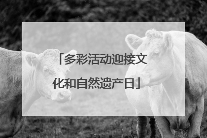 多彩活动迎接文化和自然遗产日