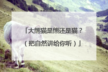 大熊猫是熊还是猫？（把自然讲给你听）