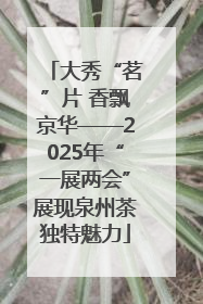 大秀“茗”片 香飘京华——2025年“一展两会”展现泉州茶独特魅力