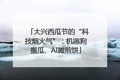 大兴西瓜节的“科技烟火气”：机器狗搬瓜、AI摊煎饼