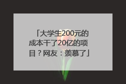 大学生200元的成本干了20亿的项目？网友：羡慕了