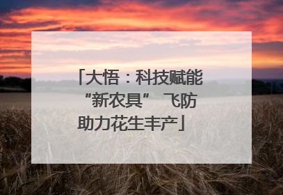 大悟：科技赋能“新农具” 飞防助力花生丰产
