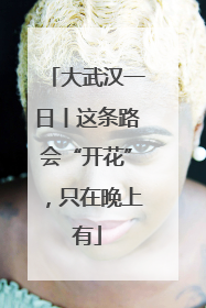 大武汉一日丨这条路会“开花”，只在晚上有