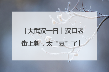 大武汉一日︱汉口老街上新，太“豆”了