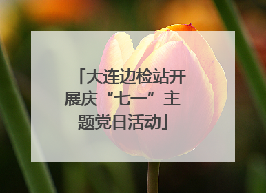 大连边检站开展庆“七一”主题党日活动
