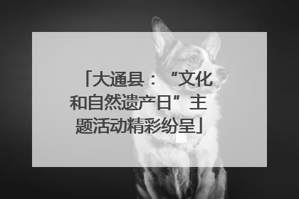 大通县：“文化和自然遗产日”主题活动精彩纷呈