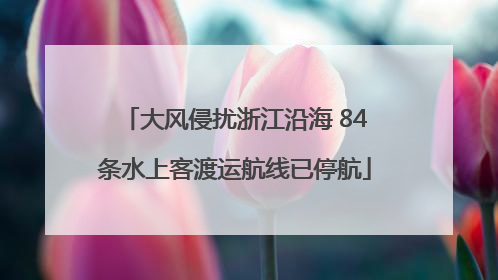 大风侵扰浙江沿海 84条水上客渡运航线已停航