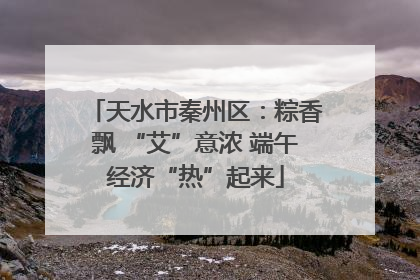 天水市秦州区：粽香飘 “艾”意浓 端午经济“热”起来