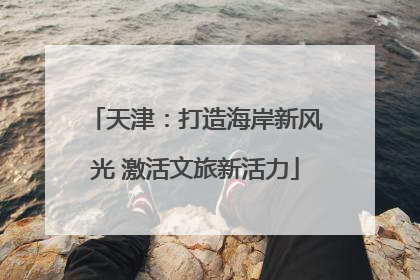 天津：打造海岸新风光 激活文旅新活力