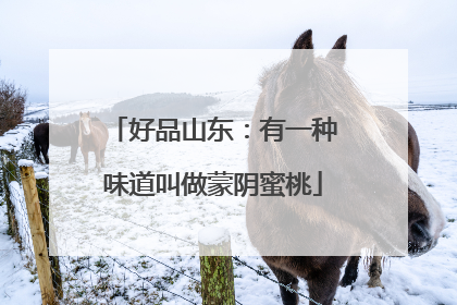 好品山东：有一种味道叫做蒙阴蜜桃