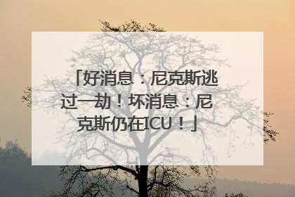 好消息：尼克斯逃过一劫！坏消息：尼克斯仍在ICU！