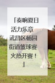 奏响夏日活力乐章 武昌区杨园街道篮球赛火热开赛！