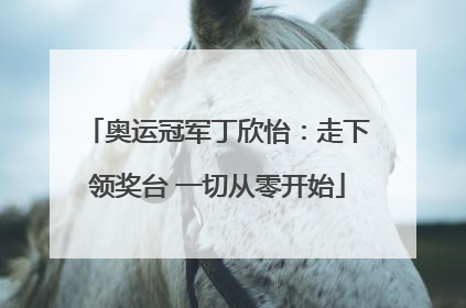 奥运冠军丁欣怡：走下领奖台 一切从零开始