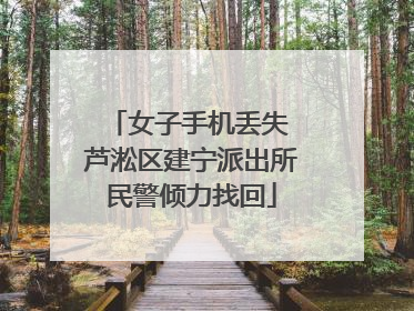 女子手机丢失 芦淞区建宁派出所民警倾力找回