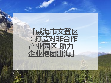 威海市文登区：打造对非合作产业园区 助力企业抱团出海