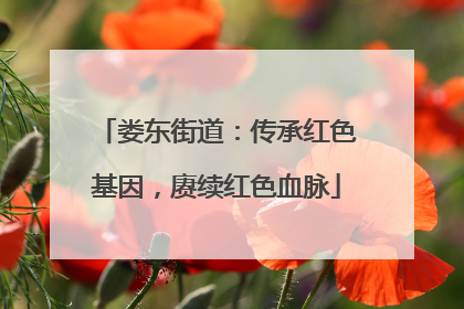 娄东街道：传承红色基因，赓续红色血脉