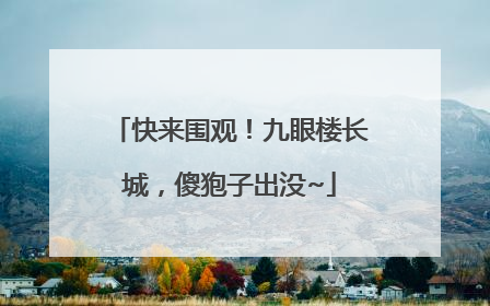 快来围观！九眼楼长城，傻狍子出没~